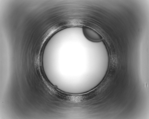 X0000103420893200810031328