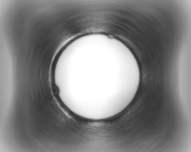 X0000103420894200810031328