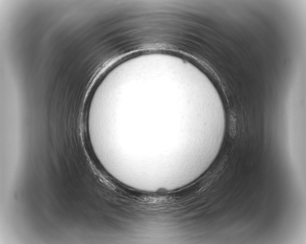X0000103420895200810031328