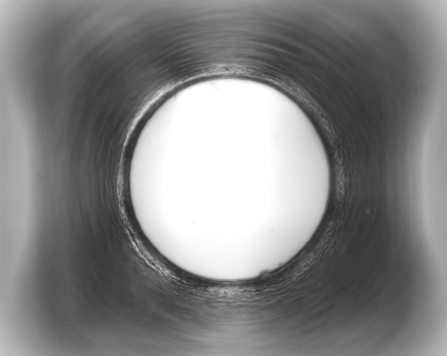 X0000103420896200810031328