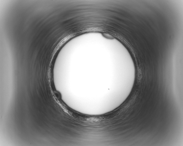 X0000103420898200810031328