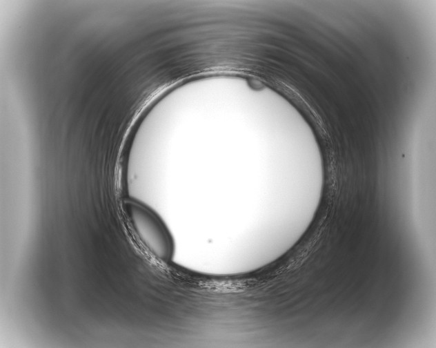 X0000103420900200810031328