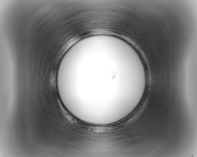 X0000103420905200810031328