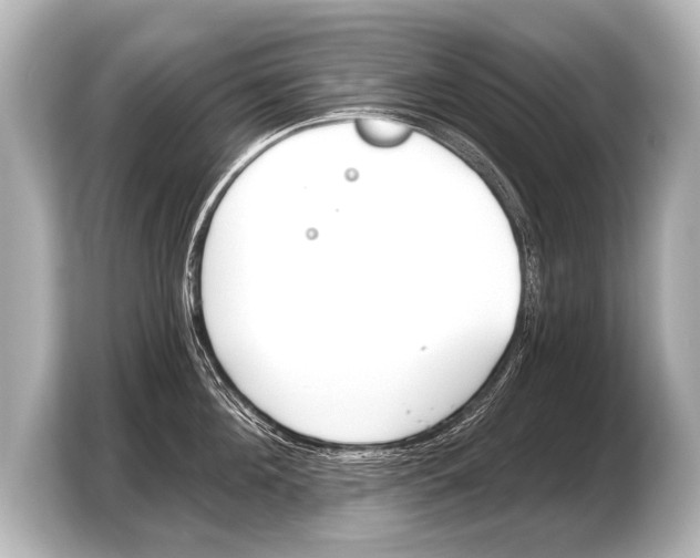 X0000103420908200810031328