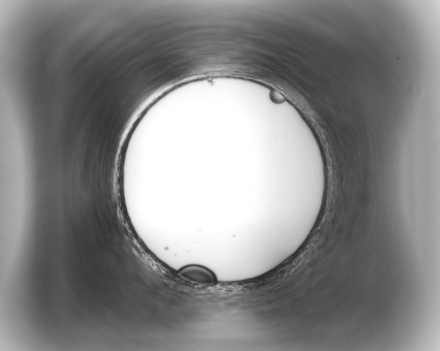 X0000103420912200810031328