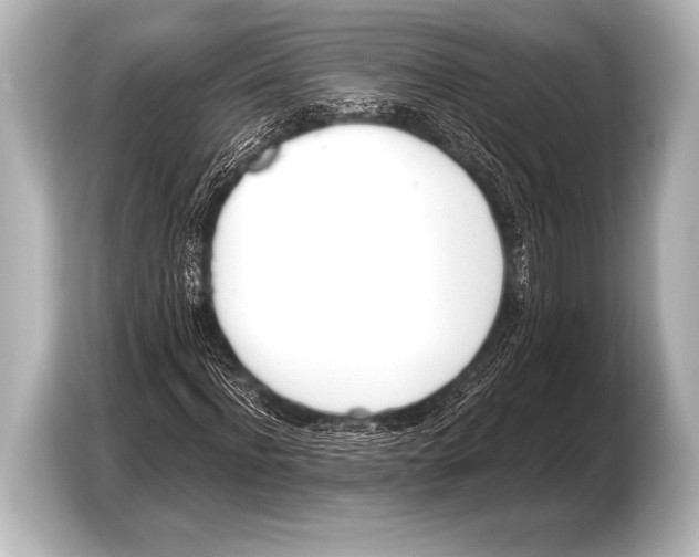 X0000103420916200810031327