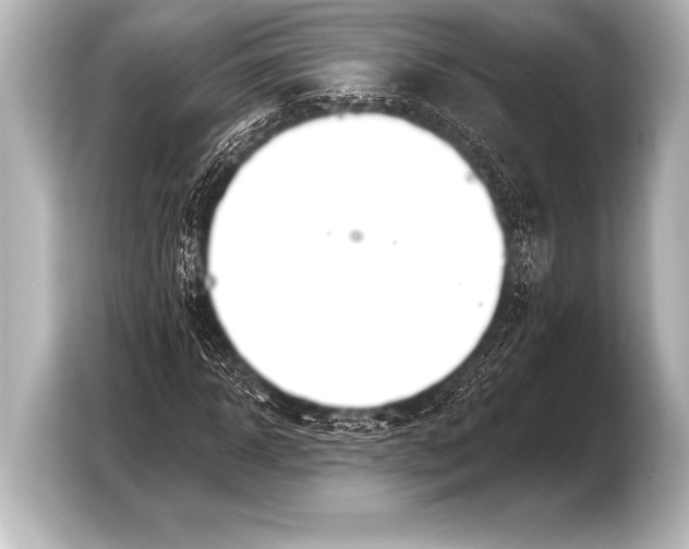 X0000103420918200810031328