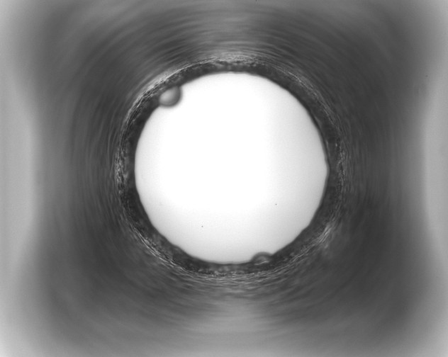 X0000103420920200810031328