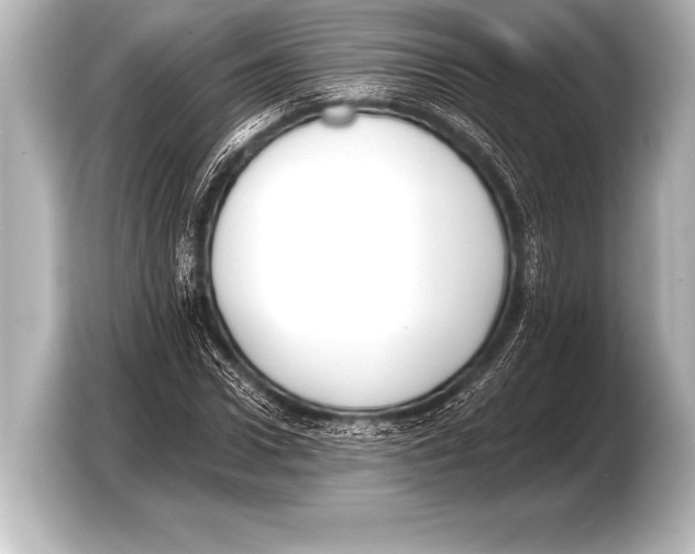 X0000103420922200810031328