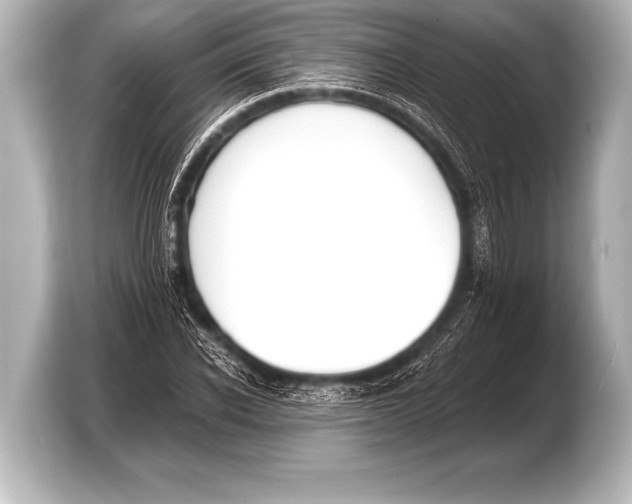 X0000103420926200810031328