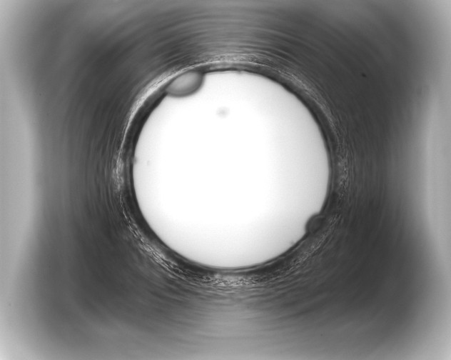 X0000103420928200810031328