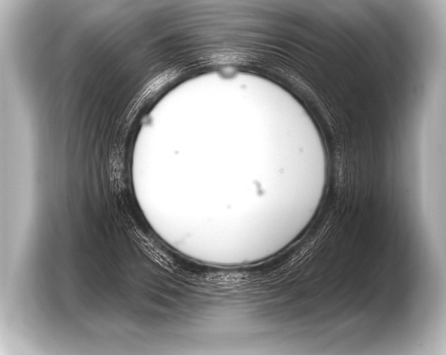 X0000103420930200810031328