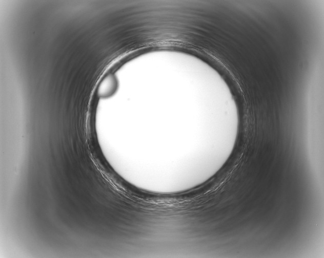 X0000103420932200810031328