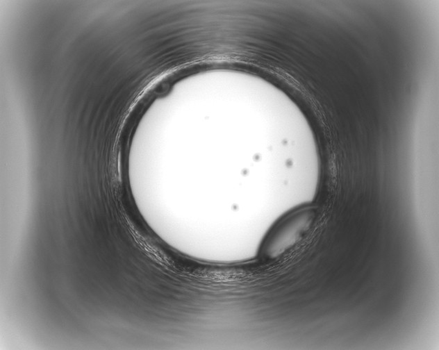X0000103420934200810031328