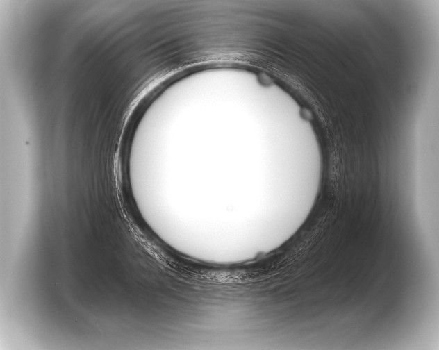 X0000103420936200810031328