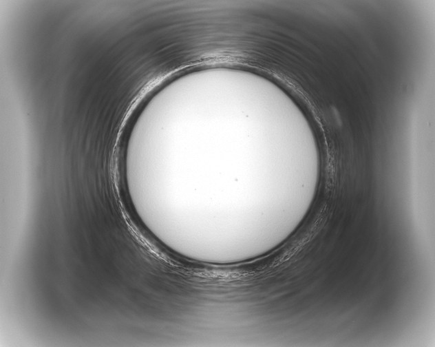X0000103420941200810031328