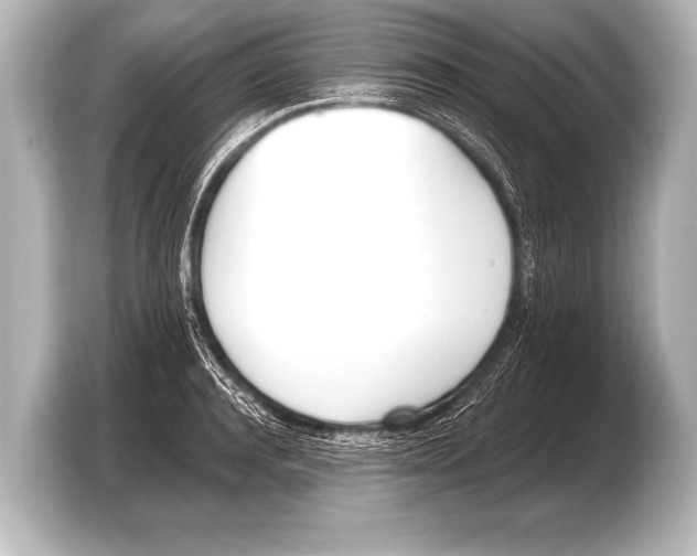X0000103420944200810031328