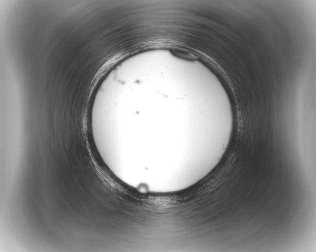 X0000103420946200810031328