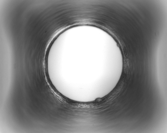 X0000103420951200810031328