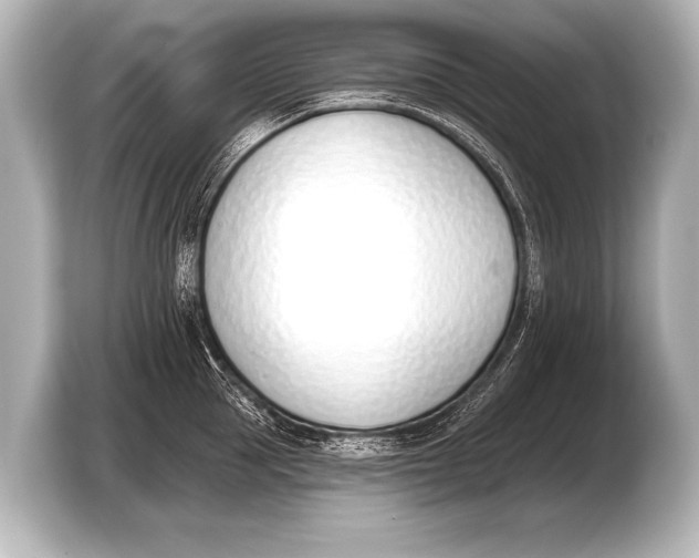X0000103420953200810031328