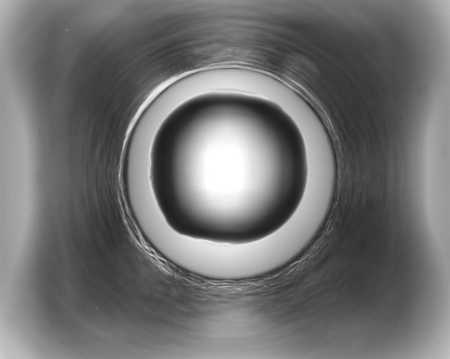 X0000103420956200810031328