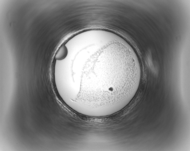 X0000103420958200810031328