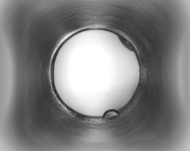 X0000103420959200810031328
