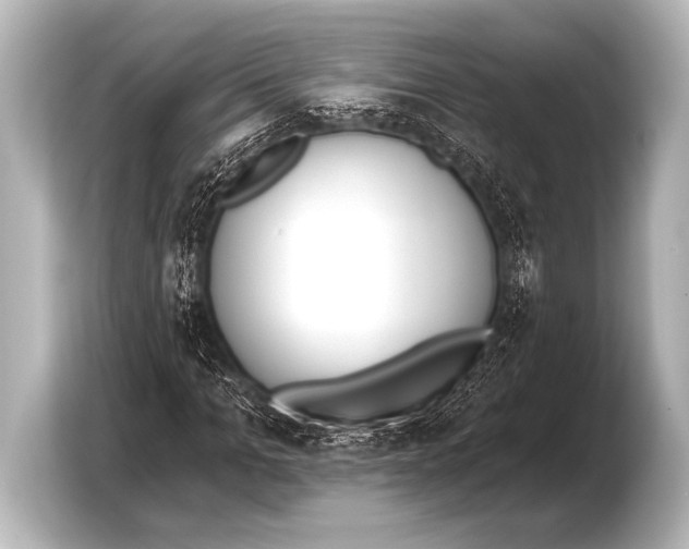 X0000103420965200810031327