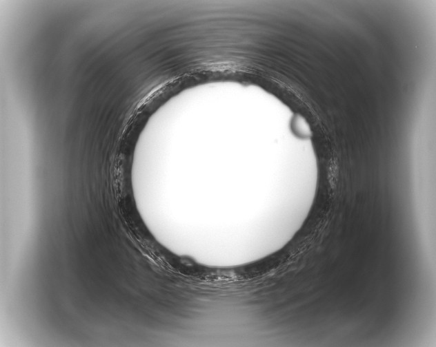 X0000103420968200810031327