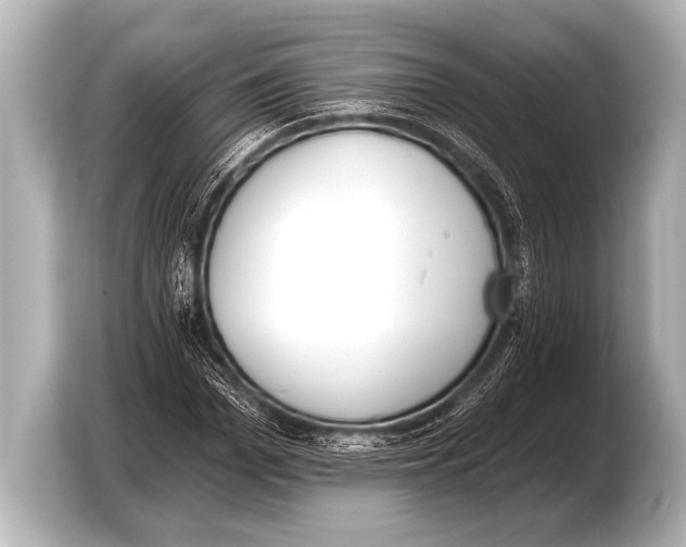 X0000103420969200810031327