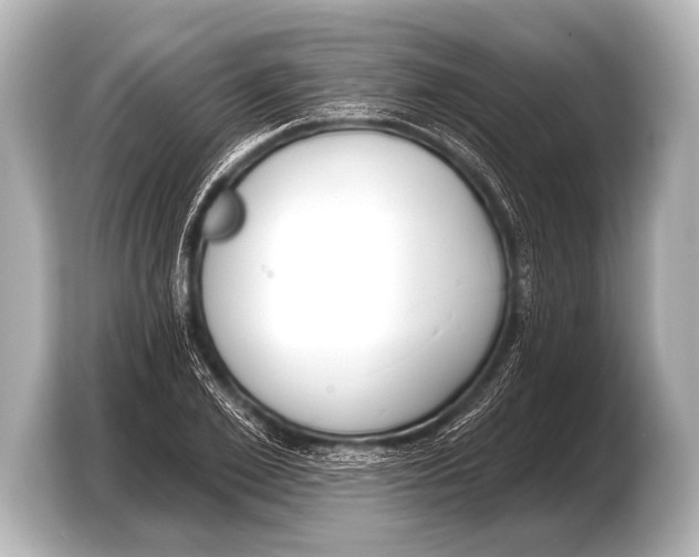 X0000103420981200810031327