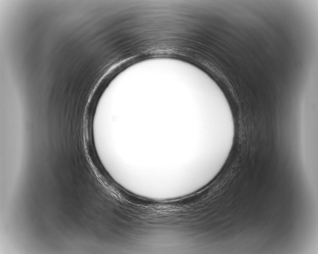 X0000103420984200810031327