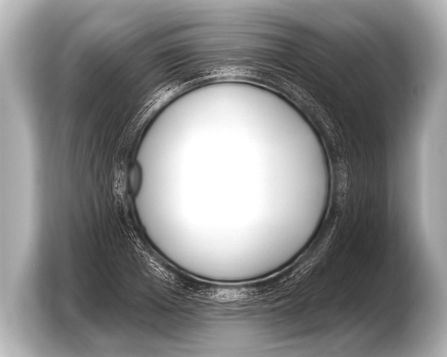 X0000103420985200810031327