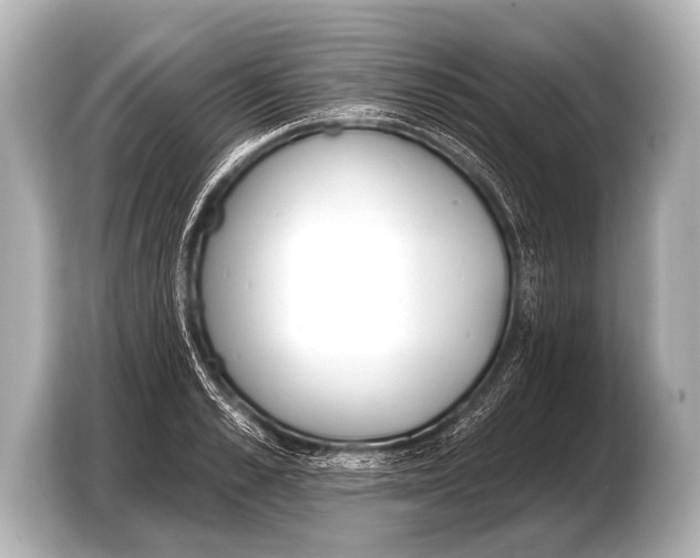 X0000103420989200810031327