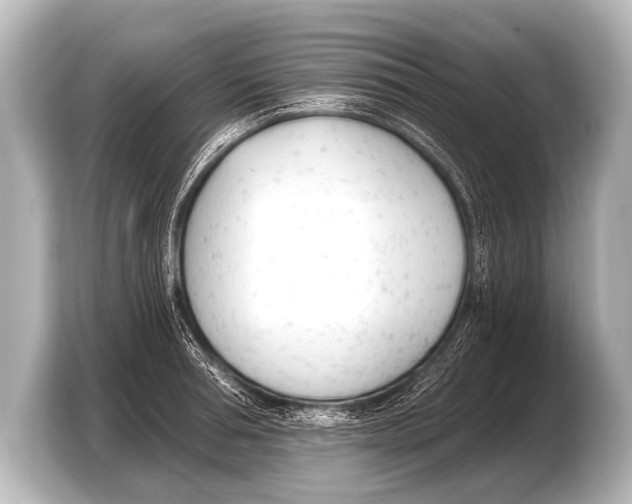 X0000103420994200810031327