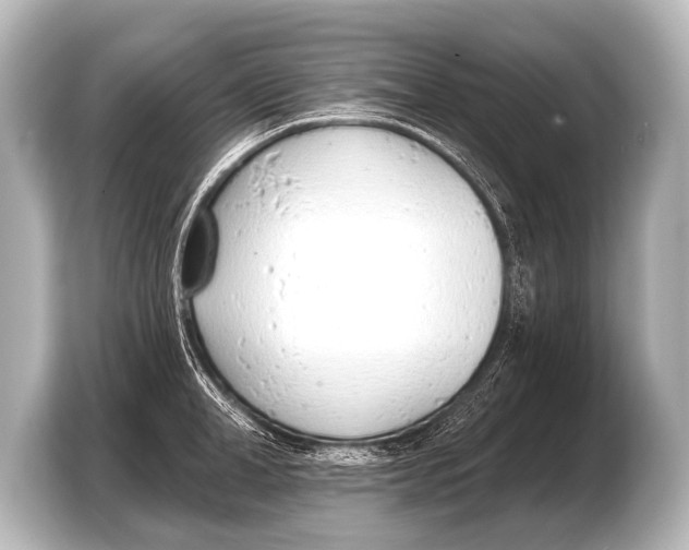 X0000103420998200810031327