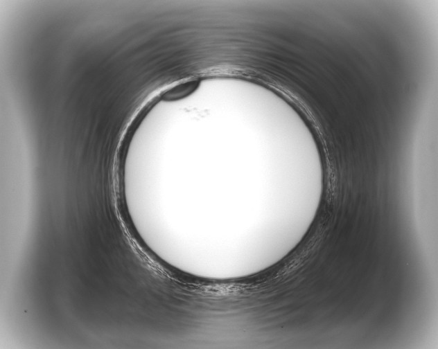 X0000103421000200810031327