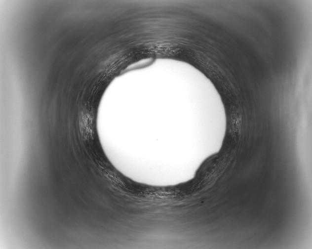 X0000103421010200810031326