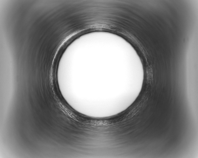 X0000103421020200810031326