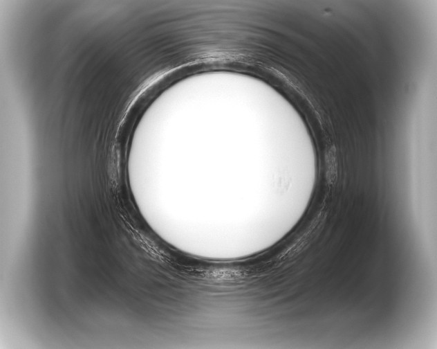 X0000103421021200810031326
