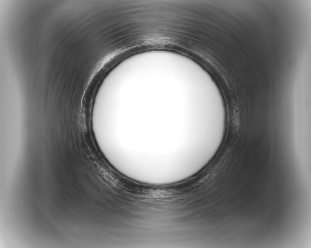 X0000103421022200810031326
