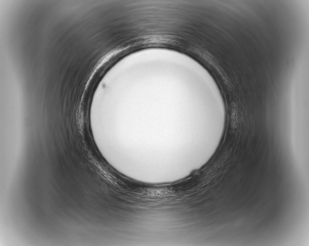 X0000103421024200810031326