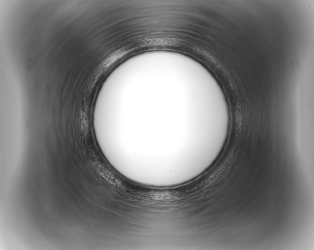 X0000103421025200810031326