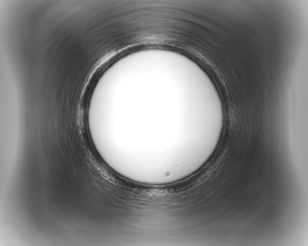 X0000103421029200810031326
