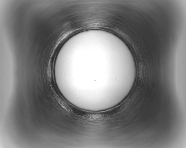 X0000103421031200810031326