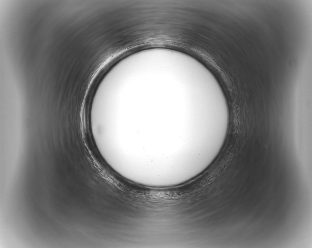 X0000103421032200810031326