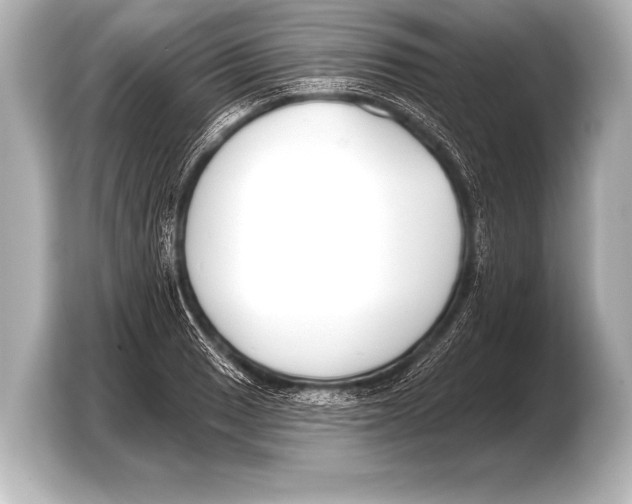 X0000103421033200810031327
