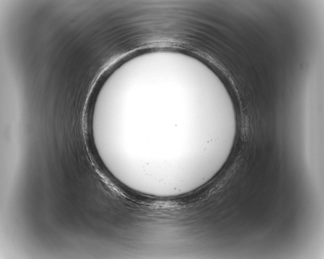 X0000103421037200810031327