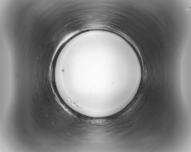 X0000103421053200810031327