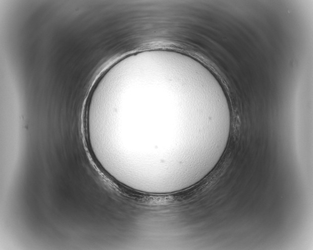 X0000103421055200810031327